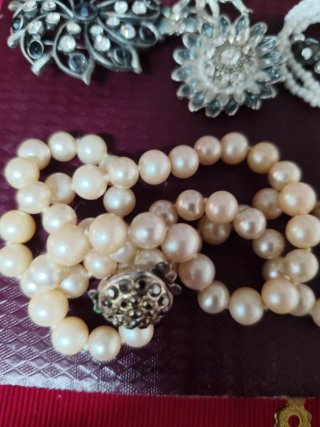Lote Bisutería: Collares y Broches