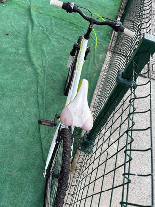 2 Bicicletas de montaña Berg 24 21 velocidades
