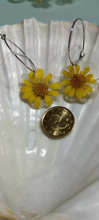 Pendientes con margaritas naturales silvestres