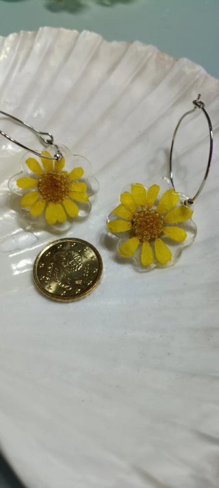 Pendientes con margaritas naturales silvestres