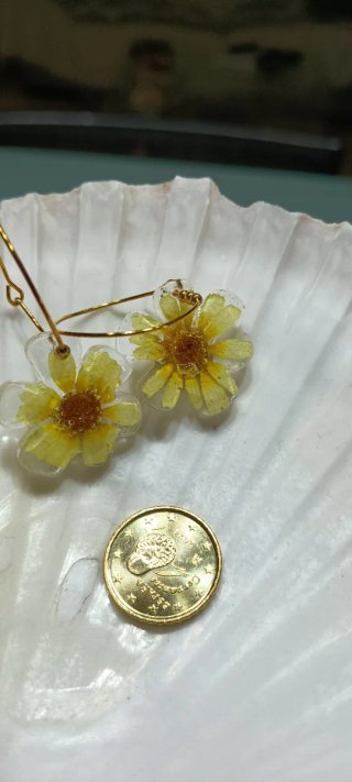 Pendientes con margaritas naturales silvestres