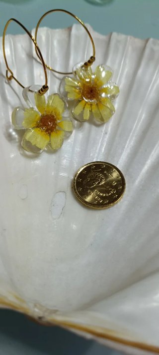 Pendientes con margaritas naturales silvestres