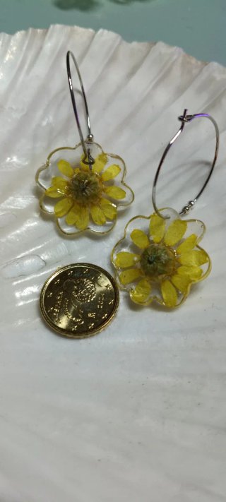 Pendientes con margaritas naturales silvestres