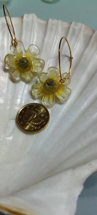Pendientes con margaritas naturales silvestres