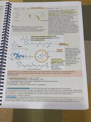 Appunti di biochimica
