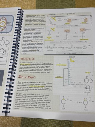 Appunti di biochimica