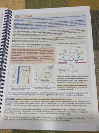 Appunti di biochimica