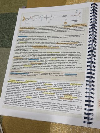 Appunti di biochimica