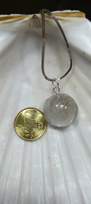 Colgante Diente de León o flor de zanahoria