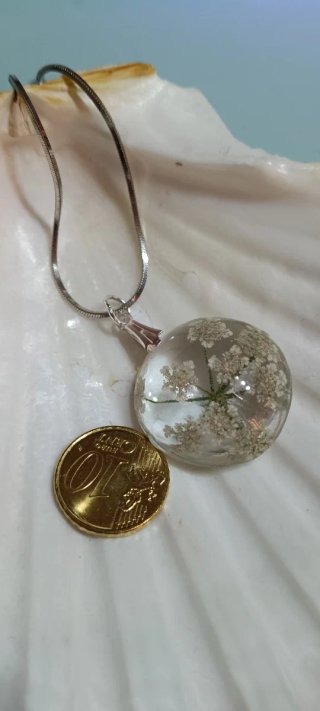 Colgante Diente de León o flor de zanahoria
