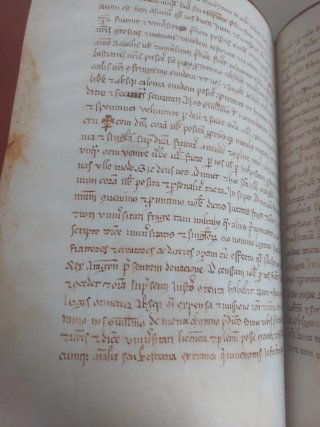 Libro de privilegios de Fraga y sus aldeas
