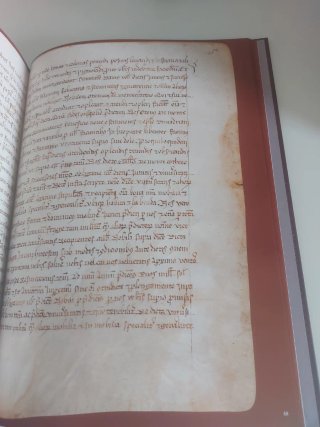 Libro de privilegios de Fraga y sus aldeas