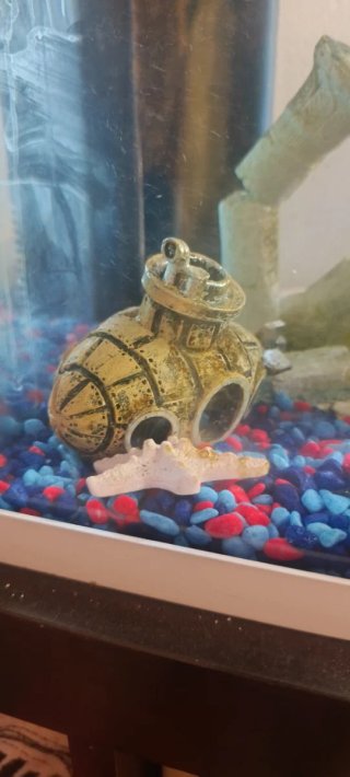 Pecera Nano Decorada