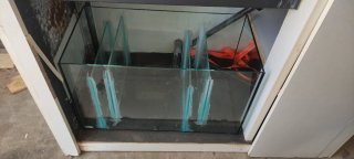 Acuario Marino 200L