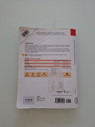 Viaticum. Viaggio tra le lingue di ieri e di og...