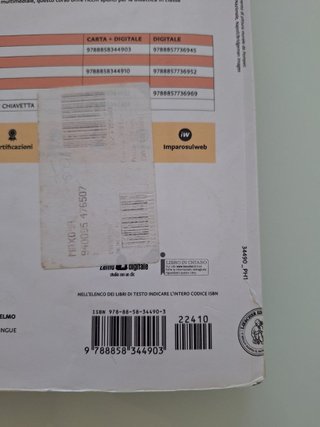 Viaticum. Viaggio tra le lingue di ieri e di og...