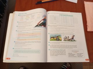 Lengua castellana y literatura 5 Primaria : Rev...