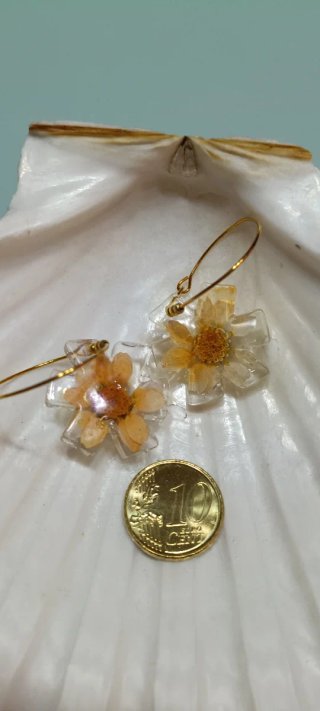 Pendientes flores naturales, margaritas y zanahori