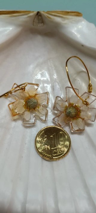 Pendientes flores naturales, margaritas y zanahori