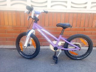 Bicicleta Specialized Hotrock para Niños Morada