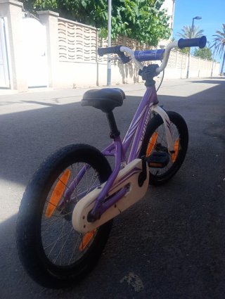 Bicicleta Specialized Hotrock para Niños Morada