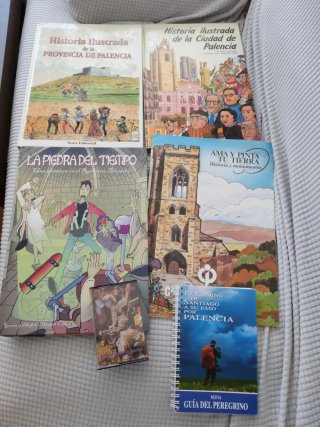 Libros cómics de Palencia y su provincia