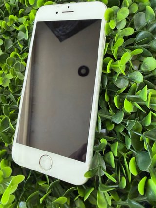 iPhone 6 Plata