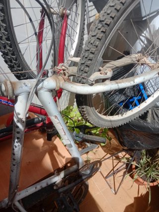 Bicicleta de montaña