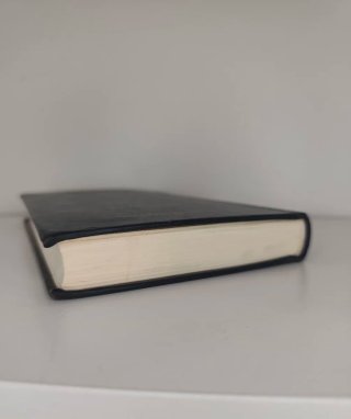 Historias I. Amiano Marcelino