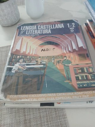 1º Y 2º BACHILLERATO DELFOS LENGUA CASTELLANA Y...