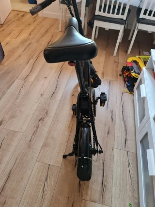 Fiido d3 pro bicicleta eléctrica