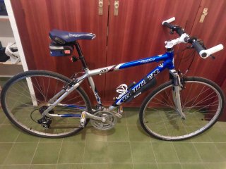 Bicicleta de paseo azul