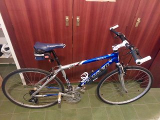 Bicicleta de paseo azul