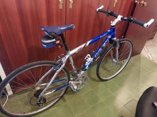 Bicicleta de paseo azul