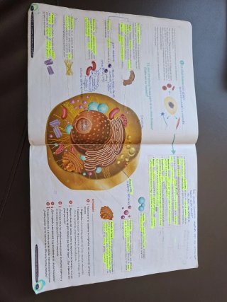 Biología y Geología 3º ESO. Libro del estudiant...