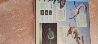 Lote 3 Libros Infantiles. Dinosaurios, Planeta...