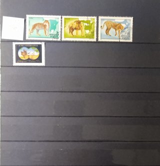 Piccola collezione francobolli Ungheresi