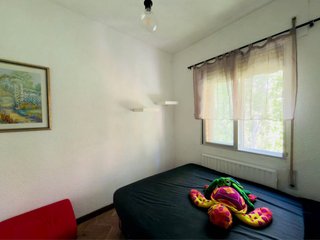 Alquiler  habitacion
