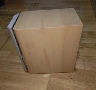 Altavoces Panasonic Marrones