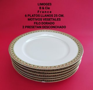 6 Platos Limoges 25cm Filo Dorado Vegetal