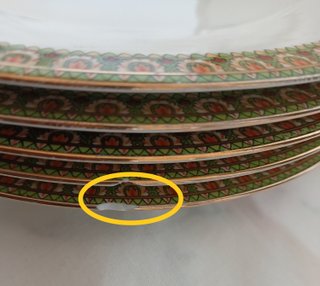 6 Platos Limoges 25cm Filo Dorado Vegetal