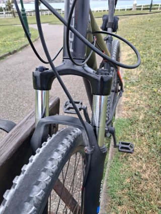 Bicicleta Focus Whistler Talla L Ruedas 29