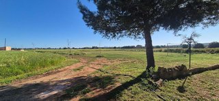 Chalet en alquiler en Campos