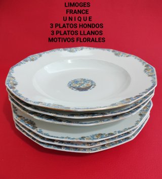Limoges France 6 Platos Florales