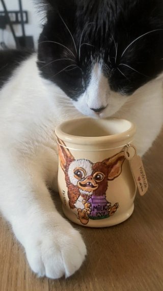 Vaso de barro Gizmo adorable