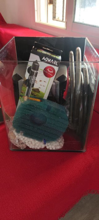 Acuario 31L con tapa, filtro y accesorios