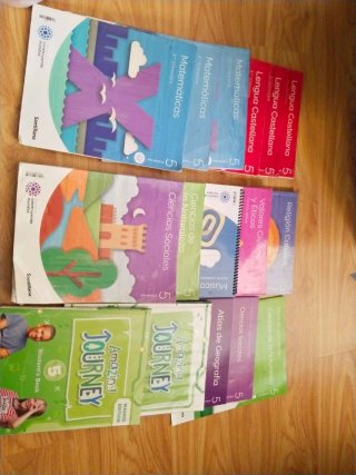 Lote libros 5° primaria Santillana sin subrayar