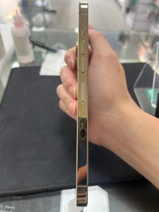 iPhone 13 Pro Max 256GB Oro