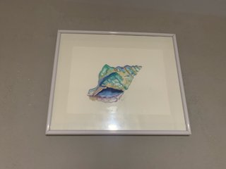 Acuarela de caracola marina