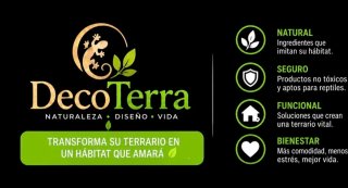Cueva refugio artesanal  para reptiles talla P